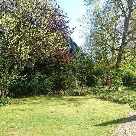 Sonniges Haeuschen Mit Garten Braunschweig Exterior photo