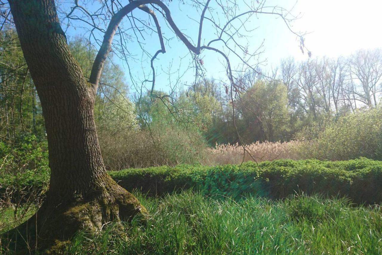 Sonniges Haeuschen Mit Garten Braunschweig Exterior photo